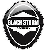 Black Storm Security